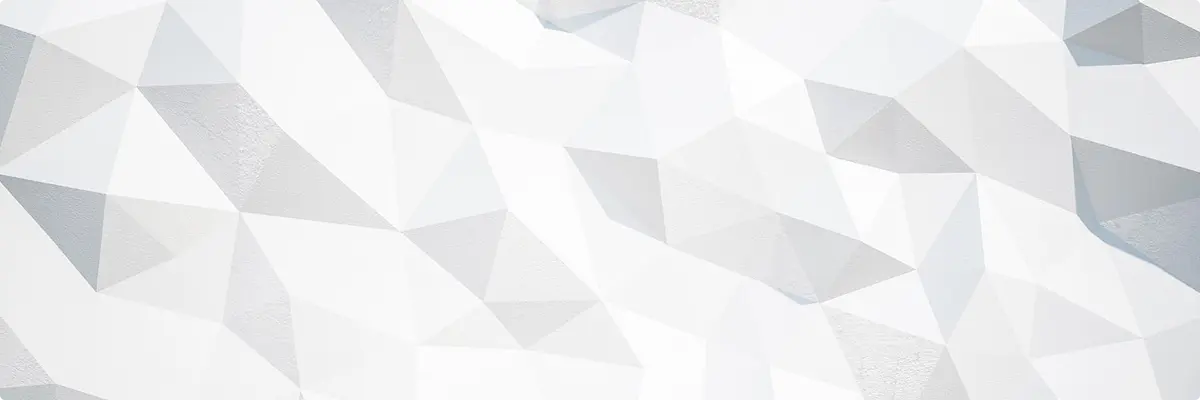 Section Two Image